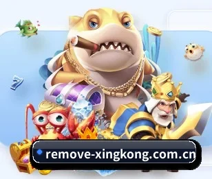 了解平台 - 体育资讯内容服务(xingkongtiyu)