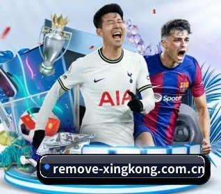 星空体育app APP(xingkongtiyu)